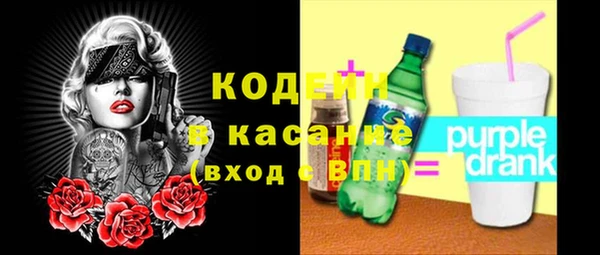 мдпв Инта