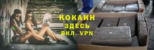 мдпв Инта