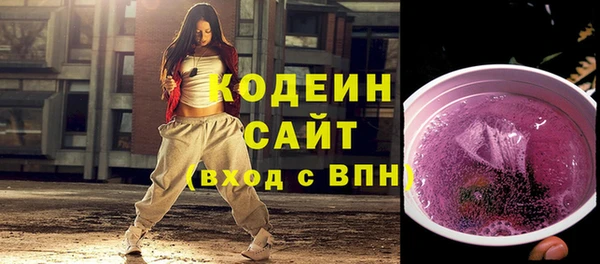 мдпв Инта