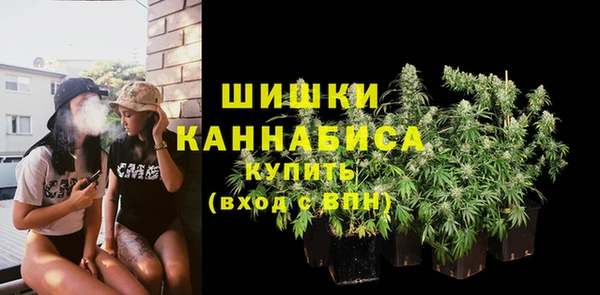 мдпв Инта