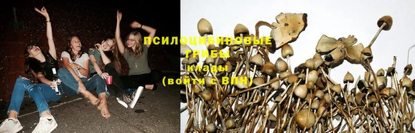 мяу мяу кристалл Инсар
