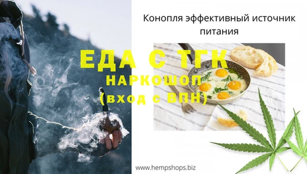 мдпв Инта