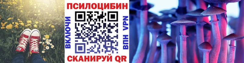 Купить где  Богородицк  Галлюциногенные грибы MAGIC MUSHROOMS 